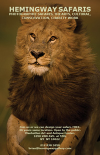 Hemingway Safaris